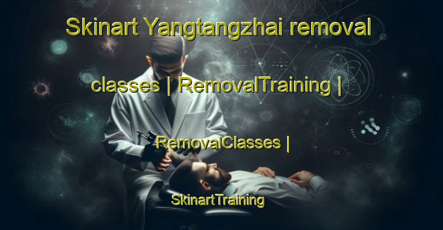 Skinart Yangtangzhai removal classes | RemovalTraining | RemovalClasses | SkinartTraining-China